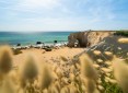 Programme Neuf LES VOILES BLANCHES Quiberon