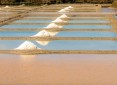 Programme Neuf Les Salines Guérande