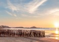 Programme Neuf LE DOMAINE DES DAMES Saint-Malo